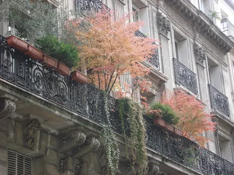 Balkonger med blomster på en bygård i Paris